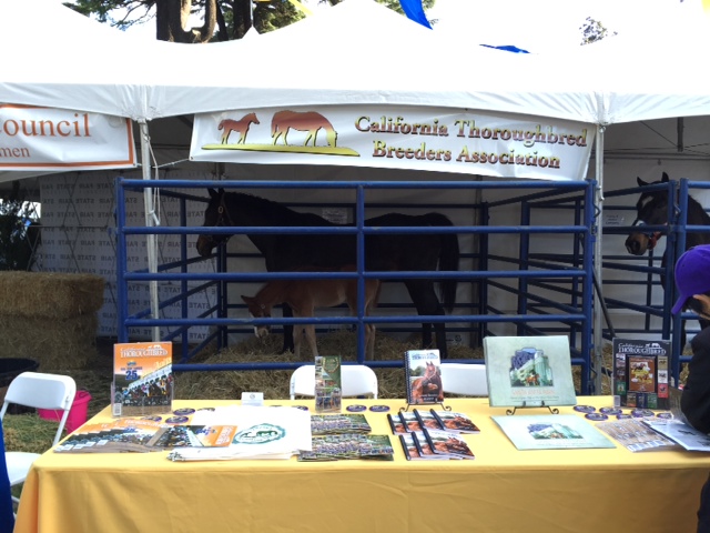 CTBA booth and stable