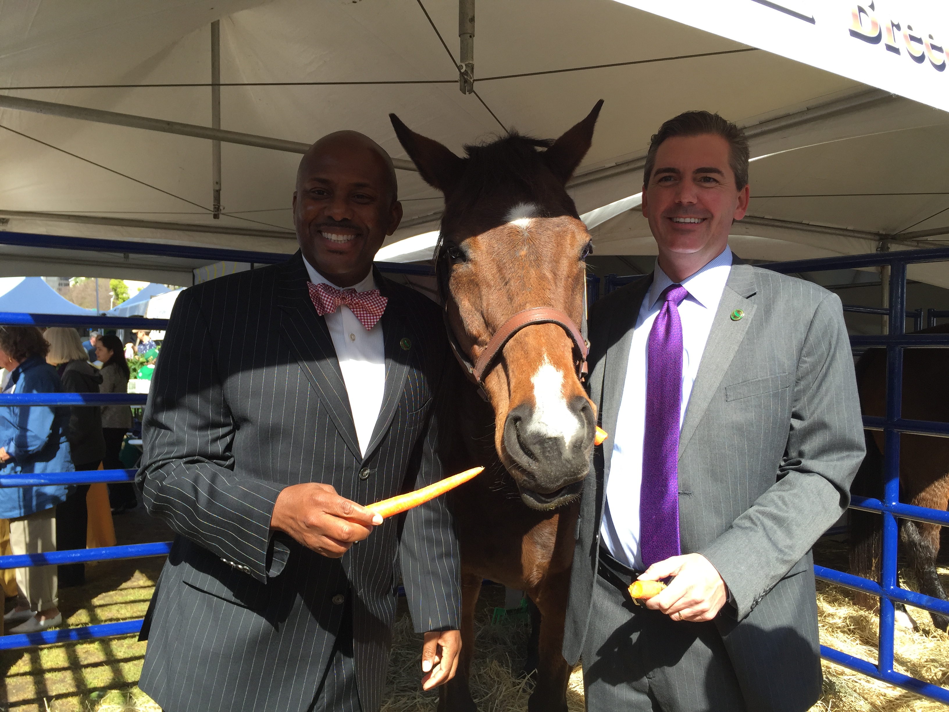 Assemblymen Mike Gipson & Marc Steinorth