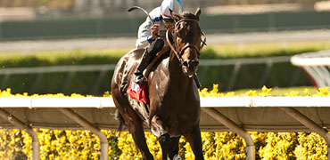 DRF.com on Cal Cup Classic