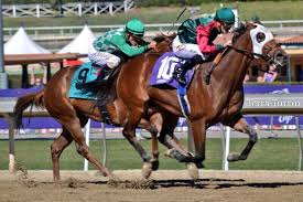 Swiss Lake Yodeler Gives Hollendorfer a Record
