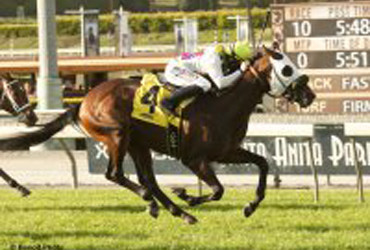AWESOME RETURN — $250,000 Snow Chief Stakes