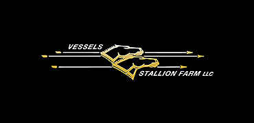 Statement from Vessels Stallion Farm