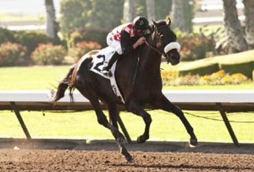 Soi Phet Stretches Out in Cougar II