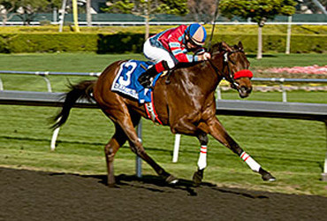 Look Quickly Seeks Third Stakes Win