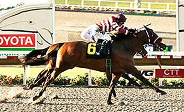 My Fiona Returns in Golden State Stakes