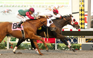 Big Macher Rebounds to win Cary Grant