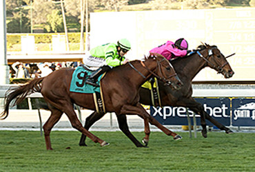 Another Win for Cal-bred Alert Bay