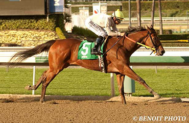 San Onofre in Los Angeles Stakes