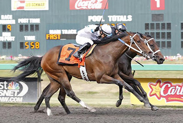 NorCal Grads in Wine Country Stakes