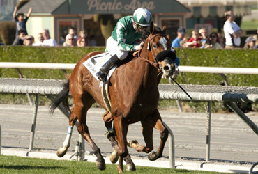 Singing Kitty Wins Unzip Me Stakes