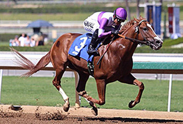 Jimmy Bouncer Enters Turf Sprint