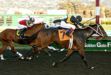 San Gabriel Draws Poshsky