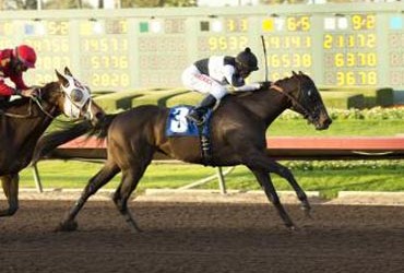 Roo’s Valentine Seeking Oaks Win