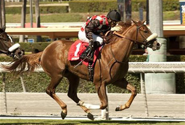 Aotearoa in San Simeon Stakes