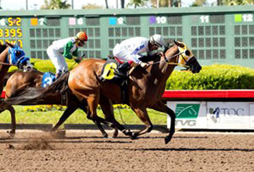 San Onofre Takes Los Angeles Stakes
