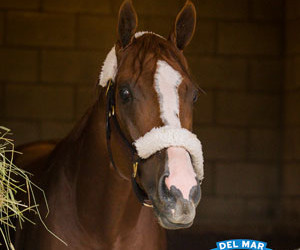 ‘Chrome Settles in at Del Mar