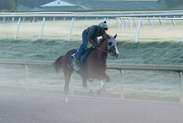 ‘Chrome Sizzles in Final Workout