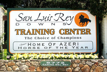 Herpes Positive at San Luis Rey Downs