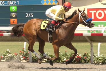 Masochistic Returns to Churchill Downs