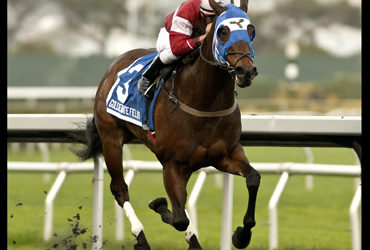 Cal-bred Pair in Albany