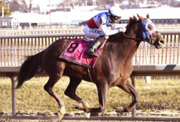 Bodhisattva Enters Stars and Stripes