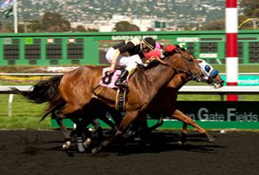 G. G. Ryder in Fourth Shot at Berkeley