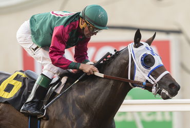 Bookies Luck Prominent in Turf Sprint