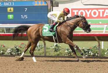 Masochistic Returns in Cal Cup Sprint