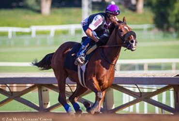 Masochistic Drills for Cal Cup Sprint