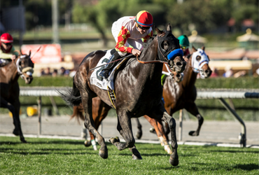 Stakes-winning Trio in Cal Cup Derby