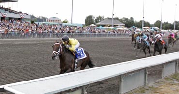 Cal-bred Quartet in Siren Lure Stakes
