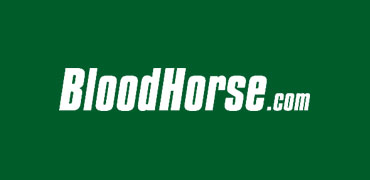 Bloodhorse.com on California Auctions