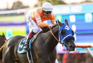 Cordiality, Cheekaboo in Mabee Stakes