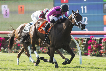 Fly to Mars Steps Up to Del Mar Mile