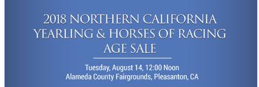 Northern Cal Yearling Sale Live Video