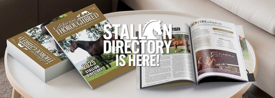 2025 Stallion Directory Is Here!