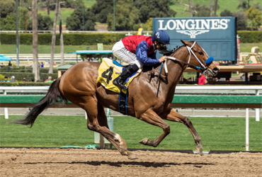 Miss Sunset Leads Cal-bred C.E.R.F. Sweep