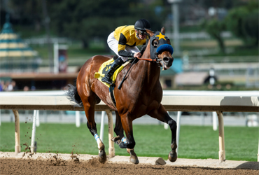 Galilean Cruises in Cal Cup Derby