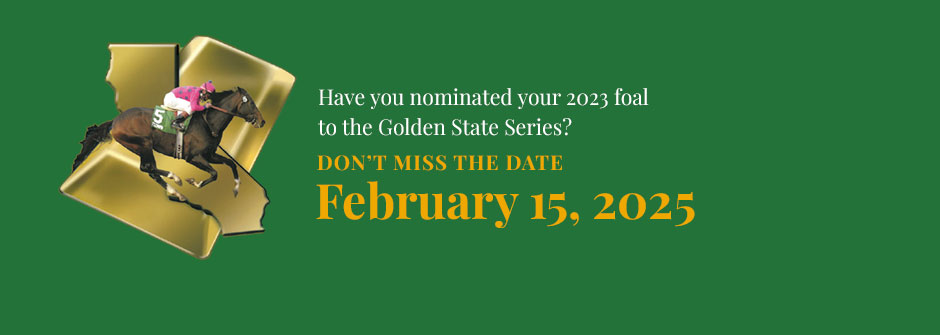 Nominate Your Foal