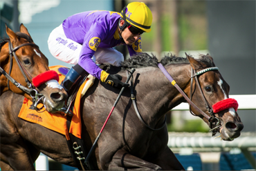 Cal-bred Pair in Providencia Stakes