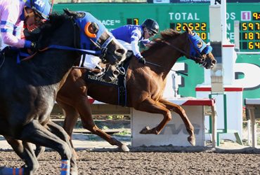 Cal-bred Pair Ship to Lone Star