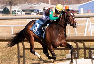 Alwaysmining on Track for Preakness