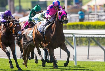Stakes-winning Lineup in California Dreamin’