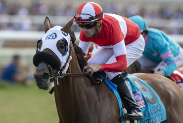 Acclimate Wins and He’s In Breeders’ Cup