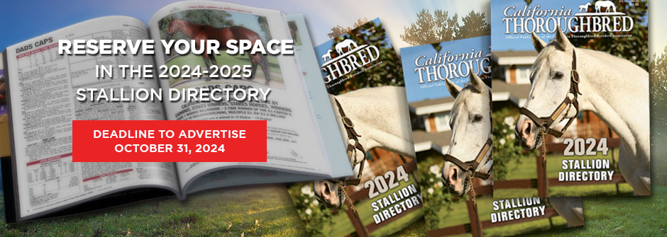 Reserve Your Space in the 2025 Stallion Directory