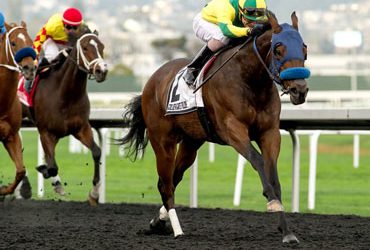 Baja Sur Sizzles to Oakland Stakes Win