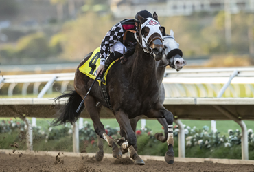 Spiced Perfection Braves Aqueduct Weather