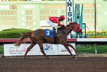 Club Aspen Surprises in King Glorious Stakes