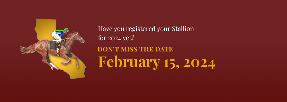 California Thoroughbred Stallion Directory 2019 by CTBA - Issuu