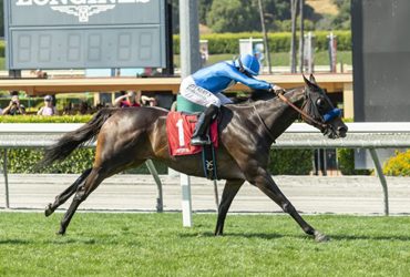 Cordiality Lone Cal-bred in Wilshire